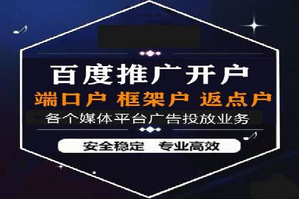 竞价推广成功案例解析